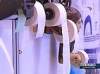 Туалеты будущего и формирование благоприятной социальной среды