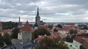 "Клубничный бунт" Эстонии обесценил украинский безвиз
