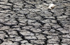 В Крыму сильно обмелели водохранилища