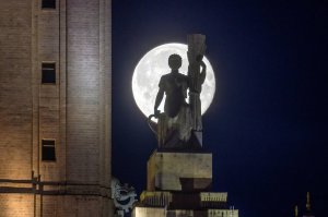 В МГУ развеяли демографические мифы пандемии