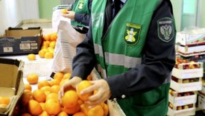Россельхознадзор будет судиться за клевету на своего руководителя