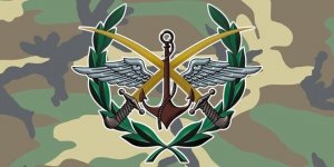 ВВС Сирии получили из России новую партию истребителей МиГ-29