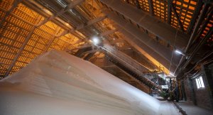 За углем из Прибалтики уведут удобрения: новый терминал в Усть-Луге (Ленинградская область) заработает в июне