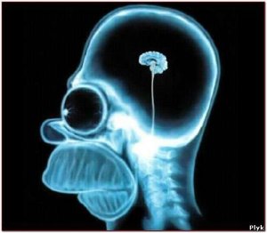 Йельский университет закрывает курс истории искусств из-за жалоб на то, что все творцы эпохи Возрождения — белые гетеросексуальные мужчины.