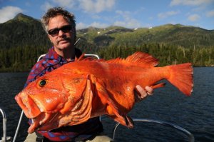 Познавательные факты об Аляске, которые вам наверняка будет интересно узнать