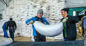 В России появился новый экспортный товар