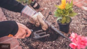 Российским дачникам рассказали о способах экономии на налогах