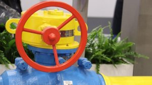 Заявление Качиньского демонстрирует провал польской политики газовой изоляции РФ