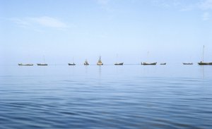 Hokkaido Shimbun (Япония): Сахалин – остров сокровищ. Как здесь заботятся об охране природы. Планы по восстановлению производства ценного растительного желатина агар-агар