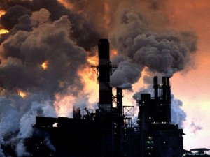 В Госдуме предложили отменить государственную экологическую экспертизу