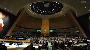 Африканские страны требуют от ООН расследовать системный расизм в США