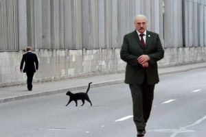 Развод по-белорусски или почему Лукашенко отвернулся от России