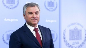 Володин ответил на критику Венецианской комиссией поправок к Конституции РФ