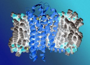 Суд отказал российским биологам в патенте на метод CRISPR-редактуры эмбрионов