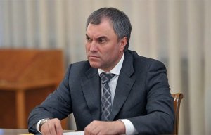 Володин объяснил народу, что быть против поправок — значит, «идти против народа»