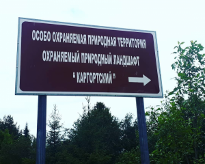 Активисты ОНФ в Коми провели субботник на территории охраняемого природного ландшафта «Каргортский»