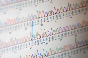 Российские ученые создадут библиотеку геномов 10 тыс. микроорганизмов