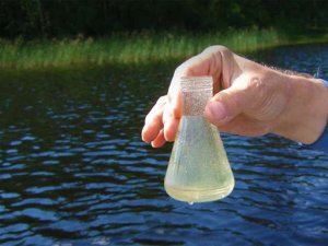 Уровень загрязнения водной системы под Норильском близок к норме