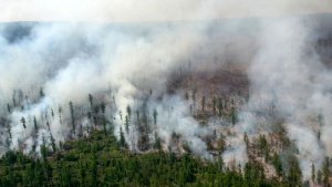 Площадь лесных пожаров на востоке России приблизилась к 3 млн гектаров