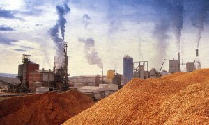 Локаут: в Австралии массово увольняют рабочих бумажной фабрики