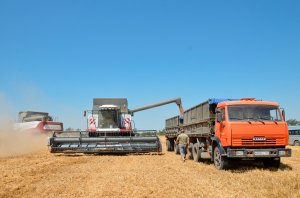 Сила тока. Урожайность зерновых в новом сезоне ниже на треть