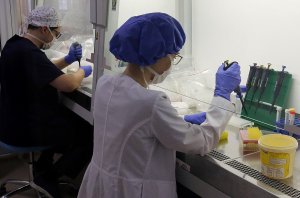 Российские биохимики "превратили" яд скорпиона в лекарство от рака