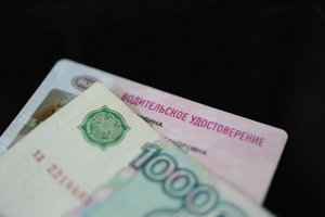 Водительские права нового вида появятся в России