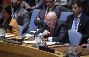 РФ и КНР наложили вето на проект резолюции СБ ООН по продлению трансграничной помощи Сирии