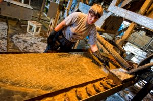 Крупные золотодобытчики и медные холдинги будут бороться за покупку Понийского участка