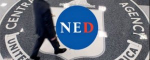 За последние 5 лет США выделили больше 1,5 млрд рублей на поддержку вредительских НКО в России