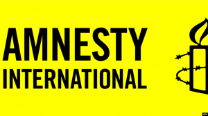 Русская служба «Голоса Америки»: Amnesty International осудила обыски у российских активистов