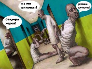 Палата № 6: Во Франции настоятельно рекомендуют отправить украинскую элиту в дурдом