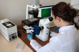 Ученые РФ раскрыли механизм работы природного антибиотика