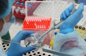 Ученые нашли связь раннего взросления женщин с риском миомы и эндометриоза