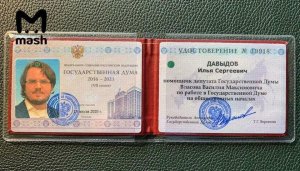 Блогер Илья Мэддисон стал помощником депутата Госдумы