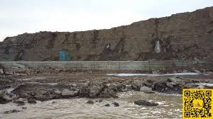 Под Санкт-Петербургом создадут палеонтологический парк