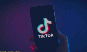 Отчёт о прозрачности платформы TikTok