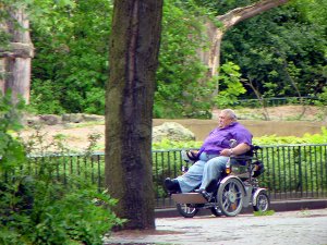 Главный диетолог РФ назвал количество россиян с ожирением