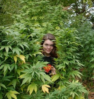 [+18]Марихуана вредит женскому организму