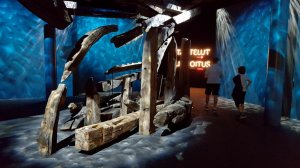 Кладбище кораблей на дне Финского залива – мультимедийная выставка позволяет окунуться в крупнейшую битву русского флота на Балтике