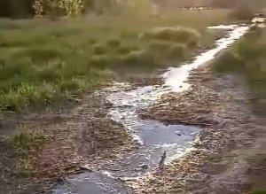 В Кировской области канализационные стоки годами сбрасываются в реку Косу