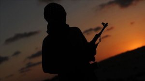 Анадолу: Египет послал в Сирию военных для поддержки Асада