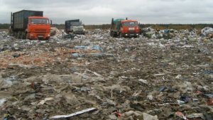 Подмосковный полигон «Ядрово» закроют в декабре