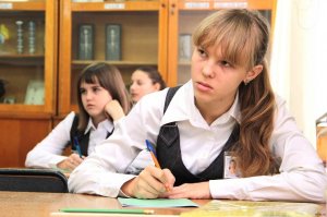 Чиновник вновь опроверг переход на дистанционное обучение