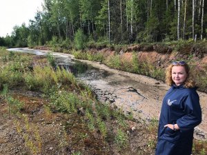 Тонны помета в лесах: ОНФ в Коми обнаружил токсичные отходы, которые якобы были ликвидированы