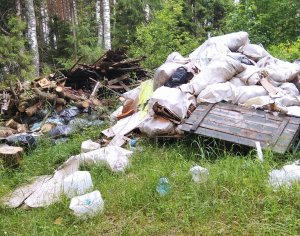 В Кировской области обнаружена свалка с потенциально опасными отходами