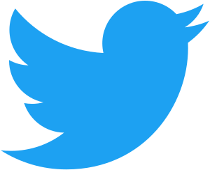Twitter запретил государственным СМИ публиковать рекламу – но только не западным