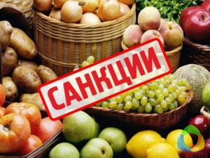 В России усилят борьбу с поставщиками «санкционных» продуктов