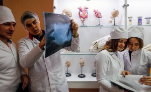 Кибернетика для медиков: как пандемия помогла абитуриентам определиться с профессией