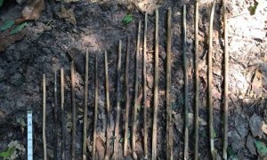Ученые предположили, из чего были сделаны первые орудия труда человека